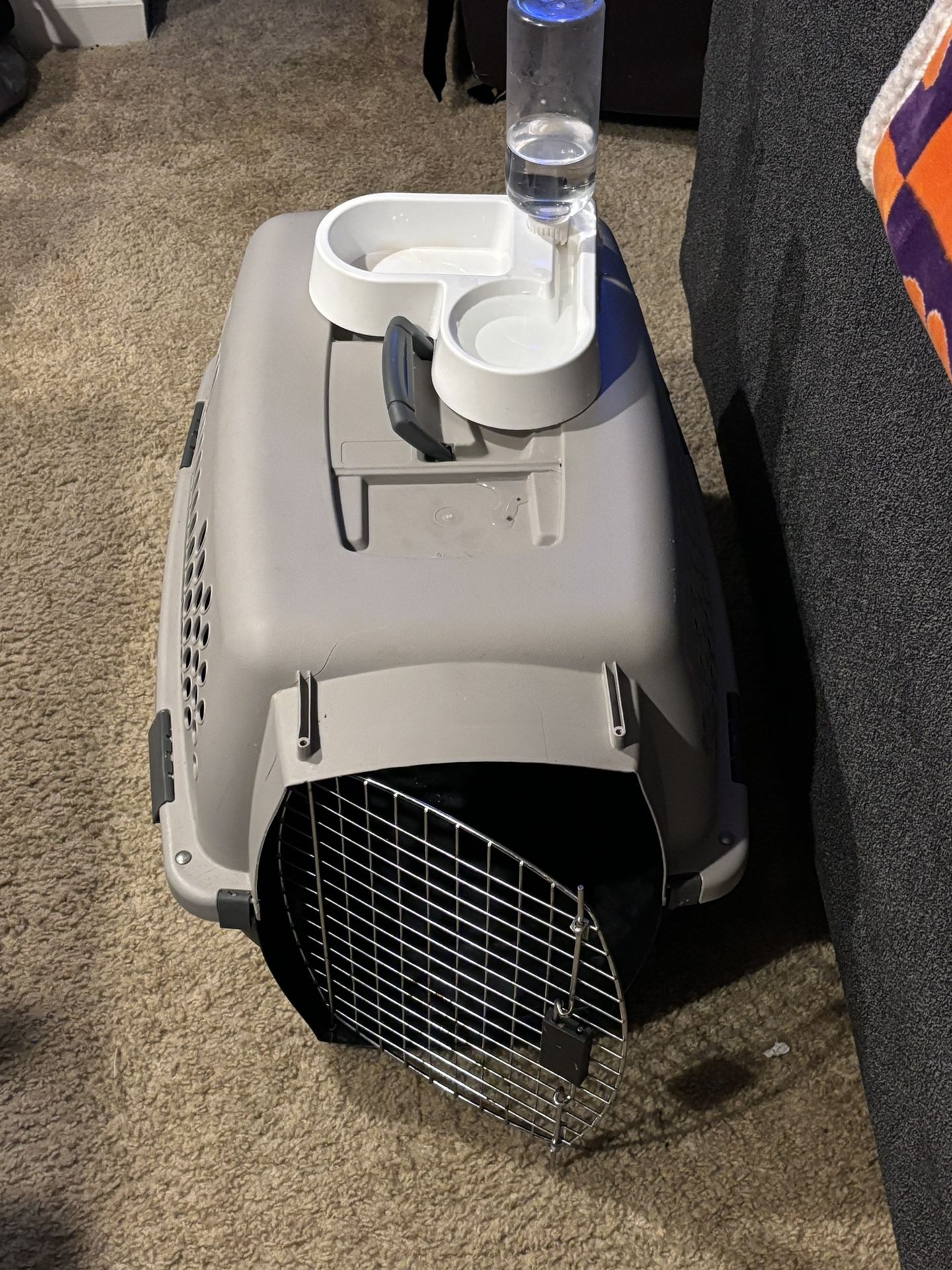 Dog Necessities