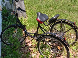 Tri Wheel Beach Cruiser 