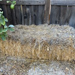 Bale Of Hay Or Straw; Hay Bale; Yard Decor; Halloween Pumpkin Patch; Fall Harvest Decor