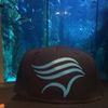 Aquarium Man 