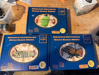 Butterfly Stages Building Models