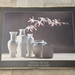 VTG Rare Print Poster Tropical Orchids MONROE MENDELSON 32"x25" Framed Ikebana 