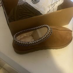 Tasman uggs