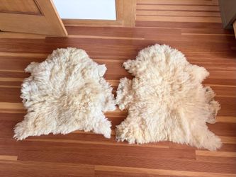 Two Genuine New Zealand Sheep Skin Rugs or Throws