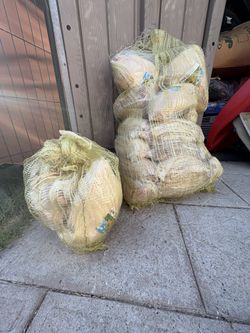 Hojas para Tamales