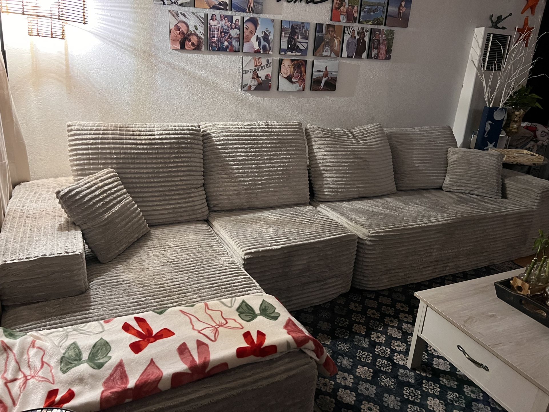 Brand New Couch