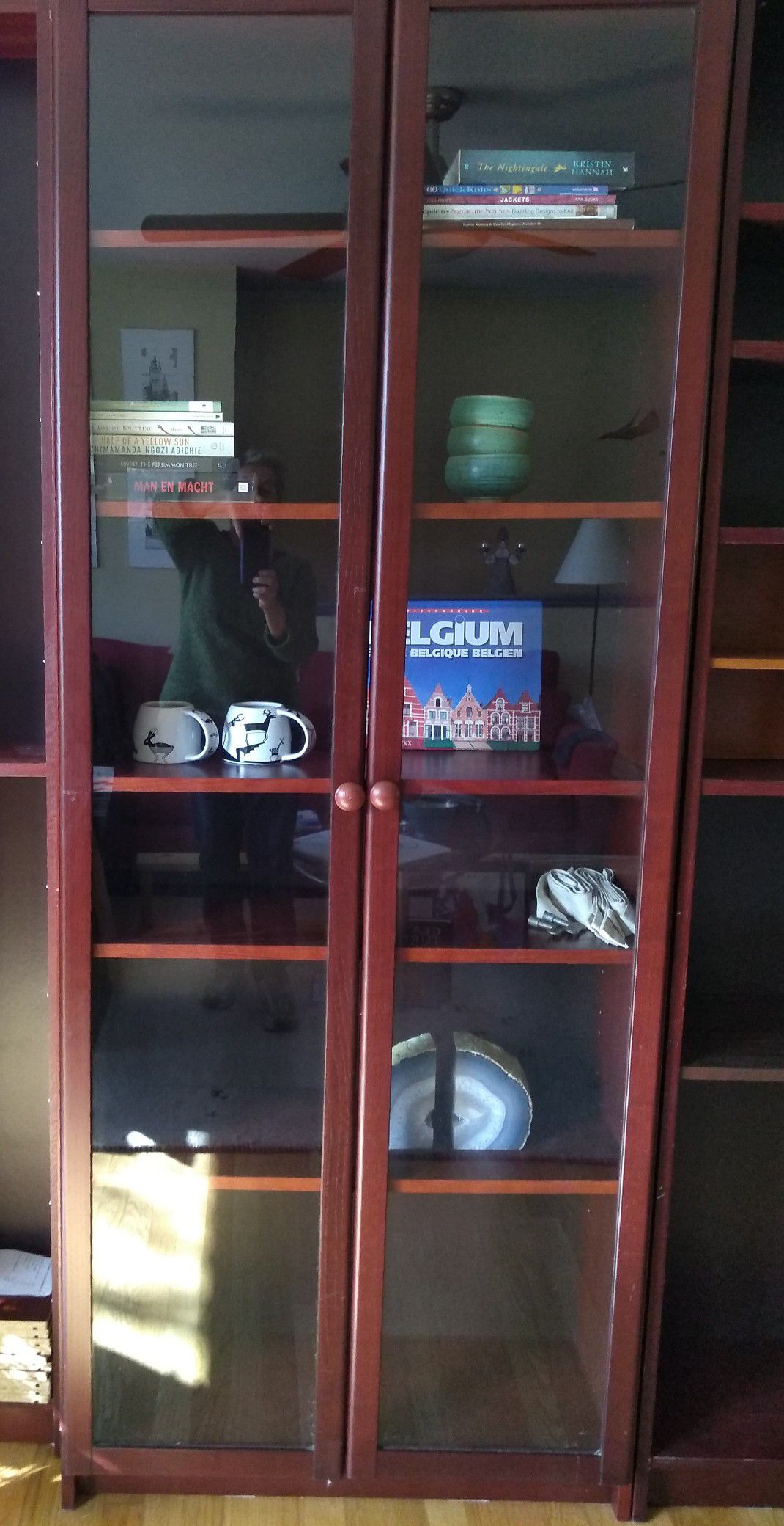 Billy bookcase with glass doors