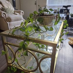 Gold Framed Coffee Table