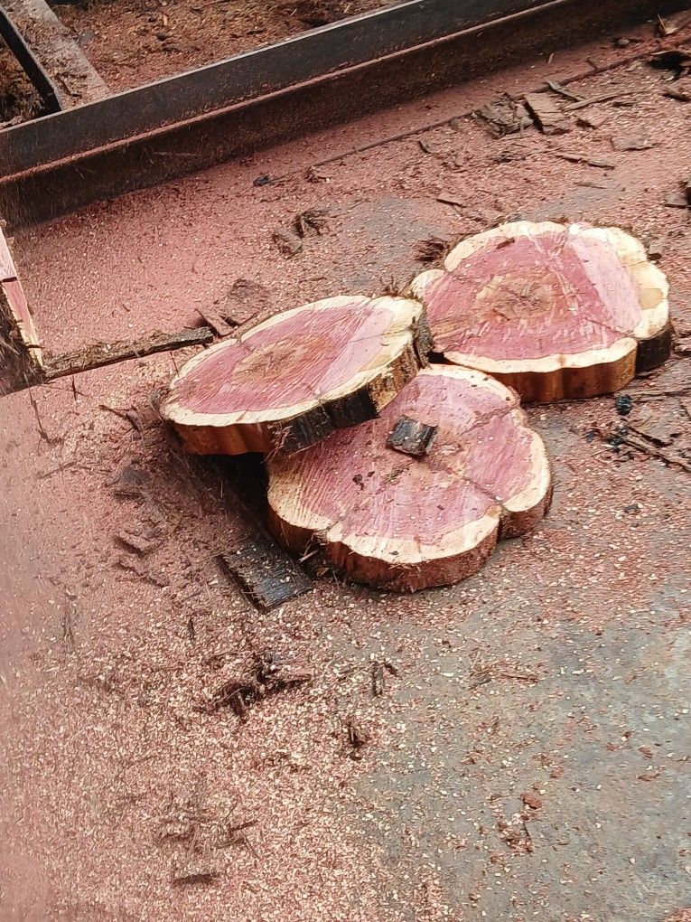 Rustic Wood Slices