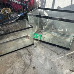 Aquarium Anyone $25