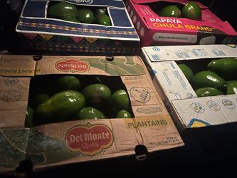 Agucates de la Florida