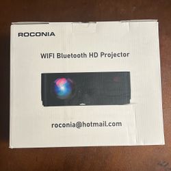 Projector