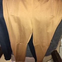 Size 14 Stretchy Pants