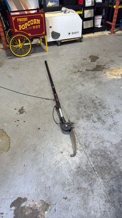 Tree Pruning 16 Ft