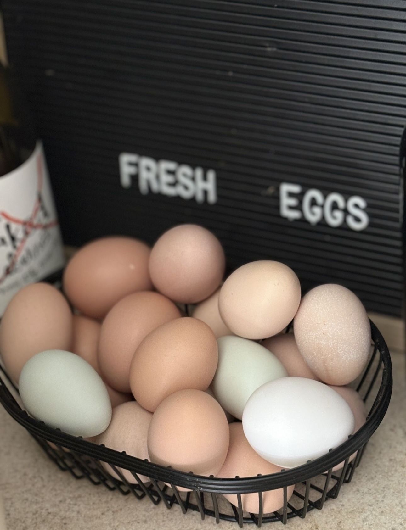 Fresh Eggs