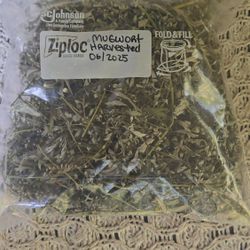 Mugwort