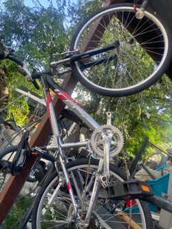 Fuji bike