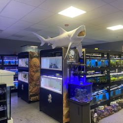 Aquarium Supplies And  Equipments 