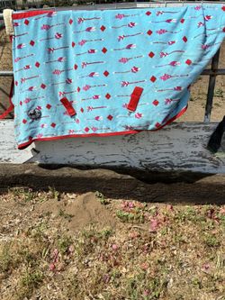 Horse blankets 