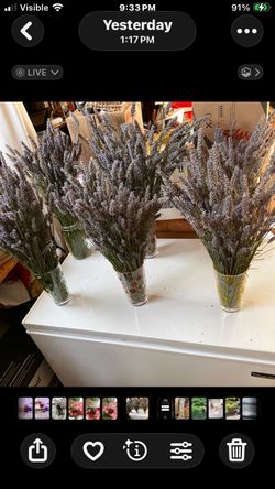 Lavender bunches