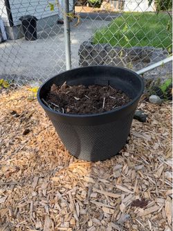 2 large plastic pots with Drainage