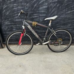 SCHWINN RANGER BIKE ADULT 