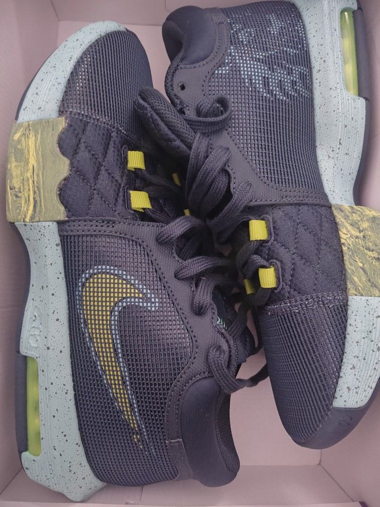 New LeBron Witness Vlll Size 10. Never Worn Without Box