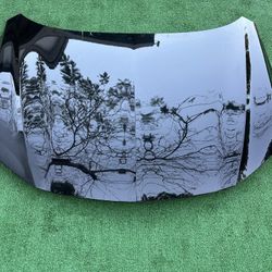 Acura Integra Hood Capo 2023 2024 2025