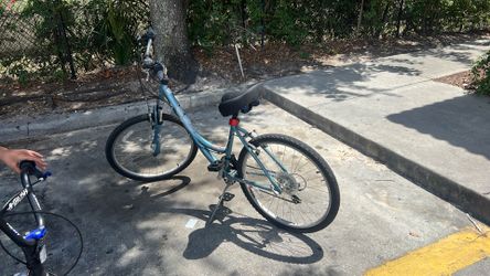 Diamondback Serene