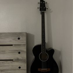 “Bajoloche”acoustic bass