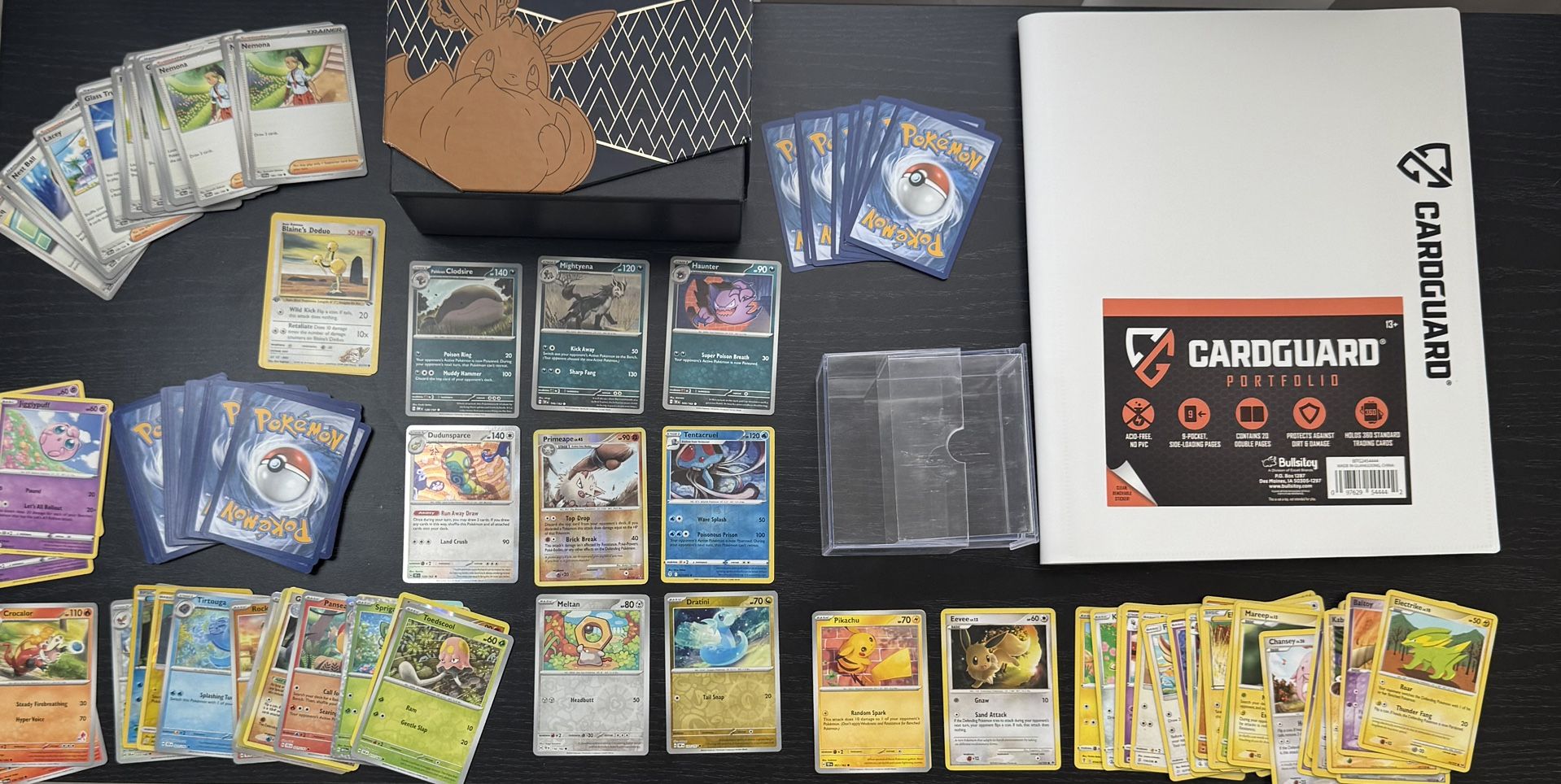 Over 200 Pokmon Cards. Binder And Eevee Shining Fates Box. -  www.jkreigsman.com