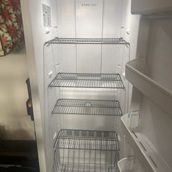 Upright Freezer