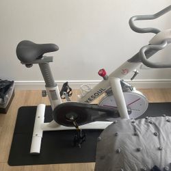 Yesoul E bike 