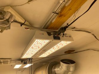 Photobio CX led light
