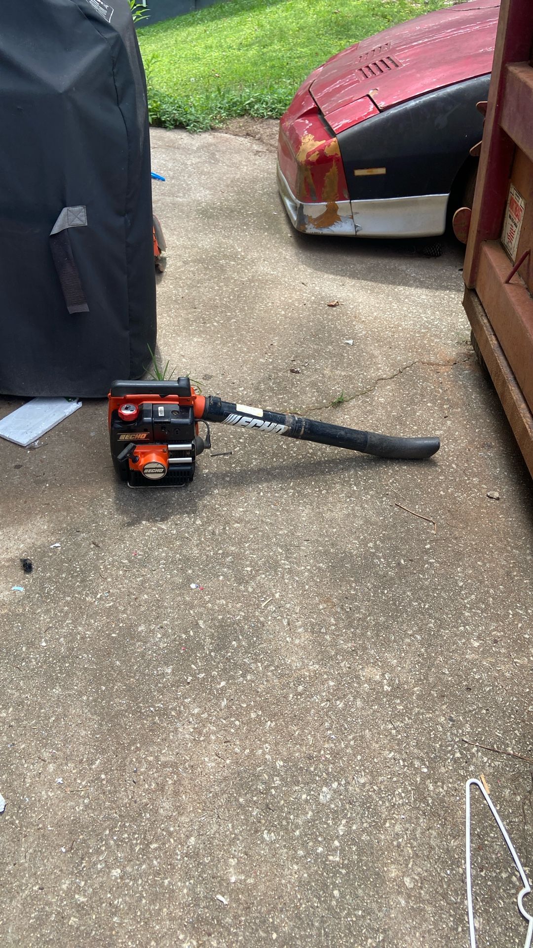 Echo Leaf Blower