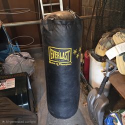Heavy Punching Bag