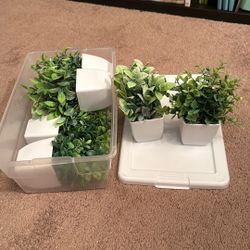 10 Decorative Artificial Plants For Shelves