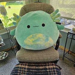 Teal Squishmallows