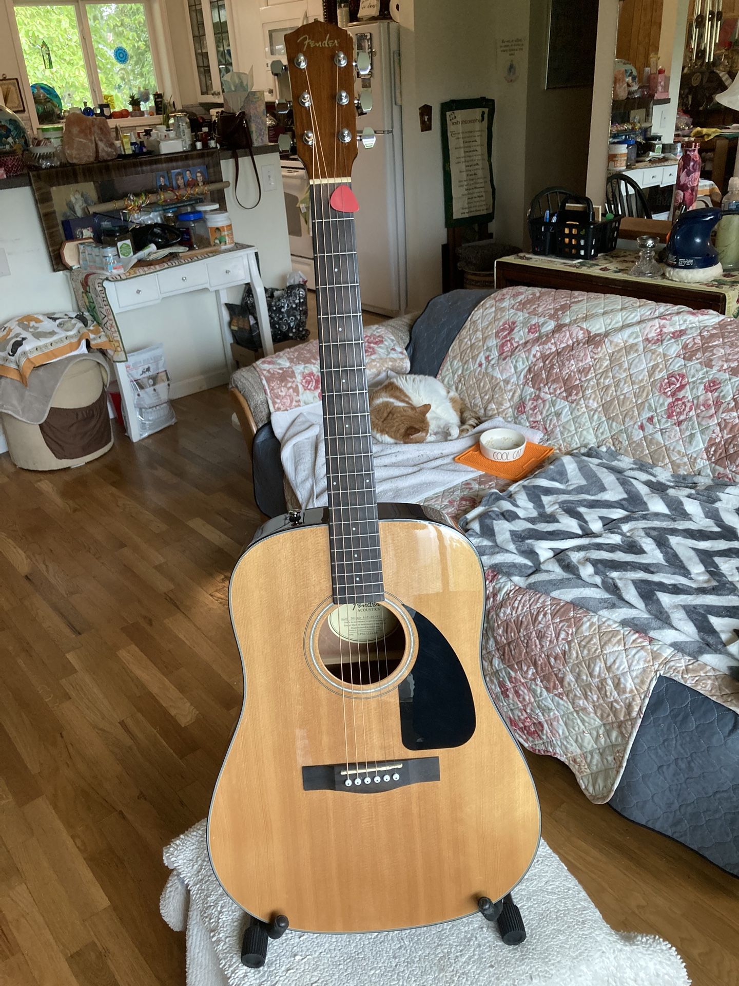 Fender DG60 Acoustic Guitar