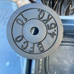 Vintage Iron Plates (& Curl Bar)
