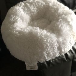 New Dog Or Cat Bed