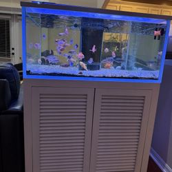 110-gallon fish tank for sale