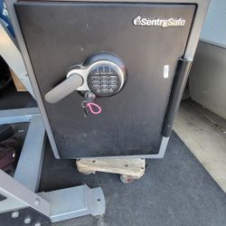 Sentry Safe 