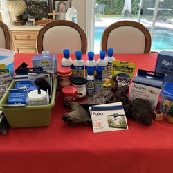 10 Gallon fish Tank With Accessories 