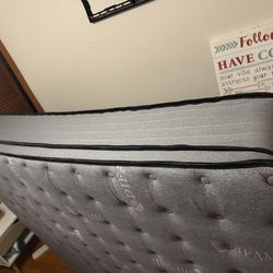 Brand new 14in mattress