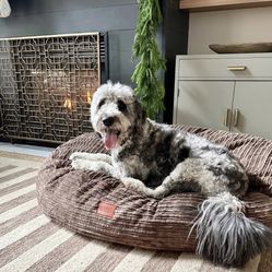 40” Waterproof Orthopedic Dog Bed – Like New