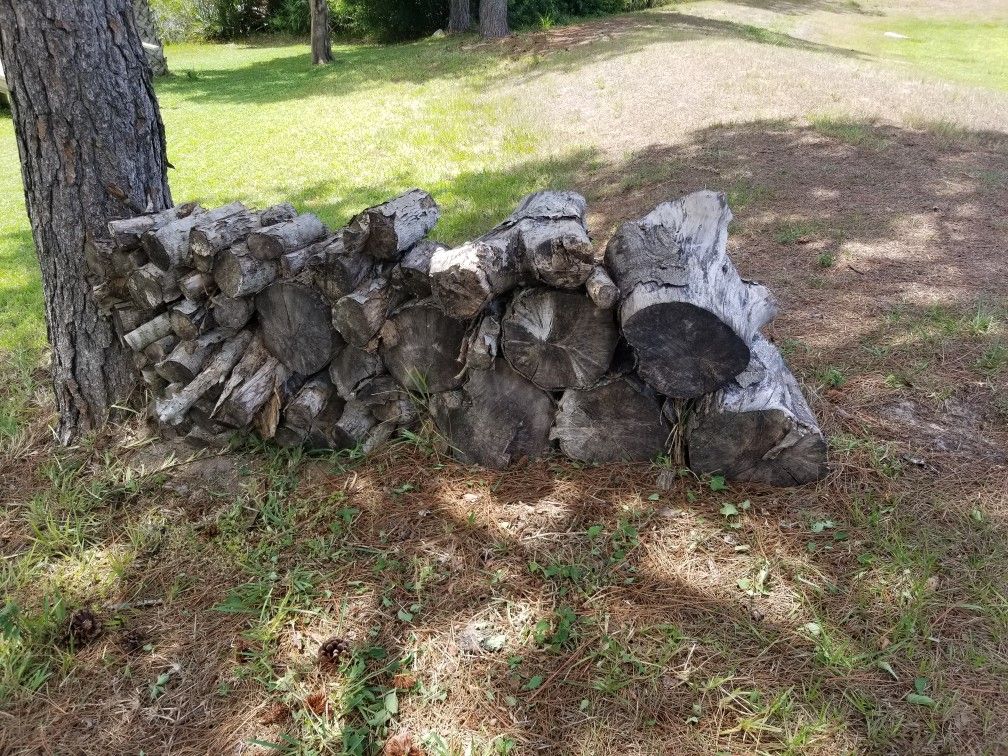 Free Firewood