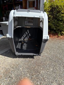 Large Hard-Sided Pet Travel Crate