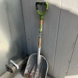 Only $10