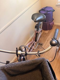 Electra Cruiser w Gears